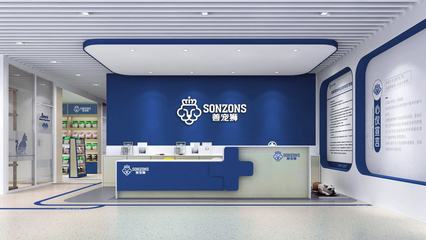 上海賽上品牌設計公司 企業形象策劃的卓越之道